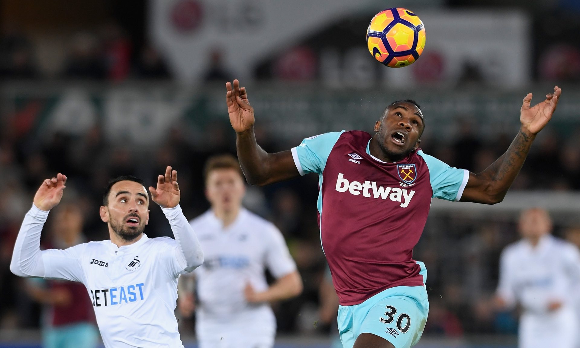 赛莫莉娅逆 赛莫莉娅逆