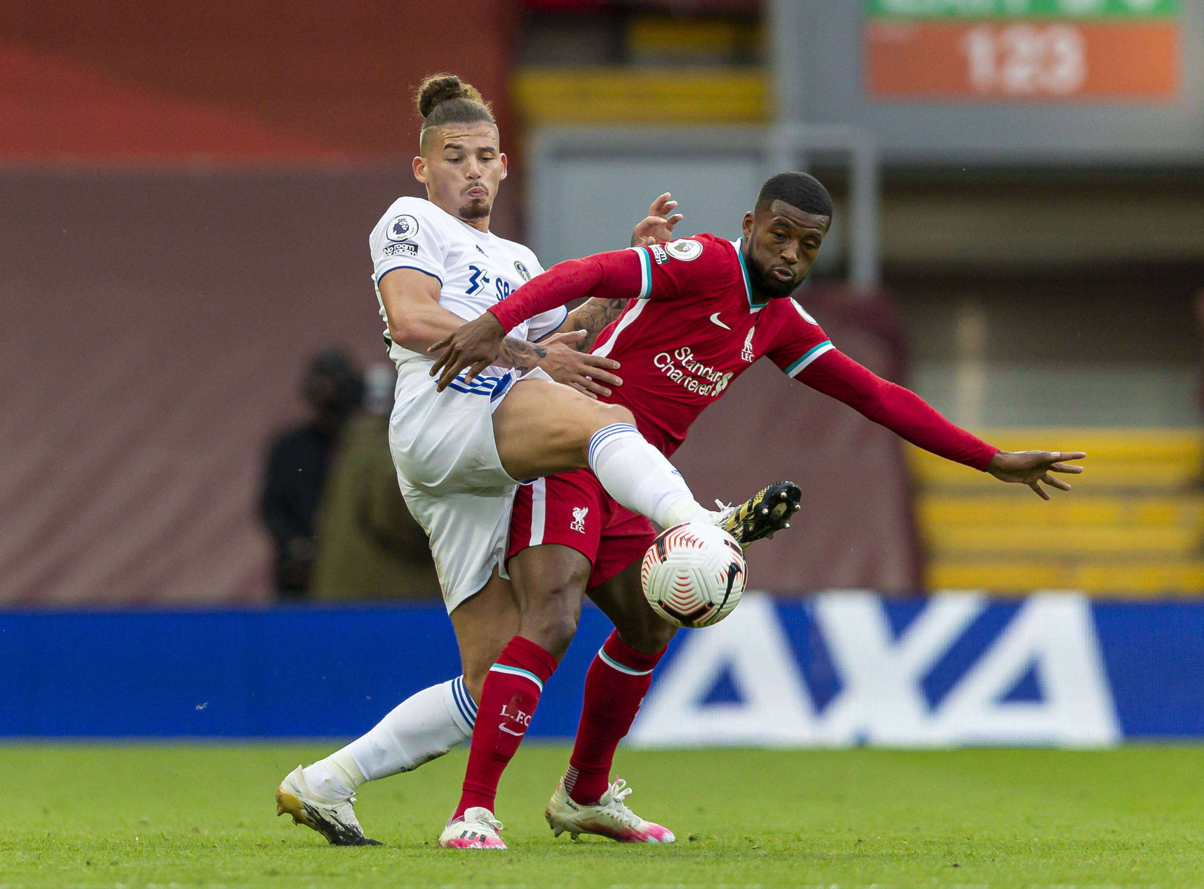 仍然可能导 仍然可能导